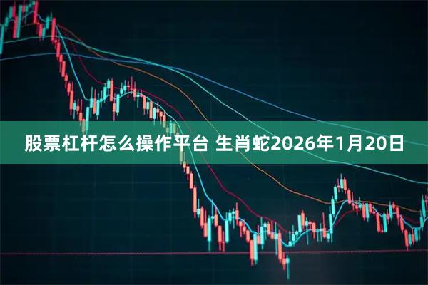股票杠杆怎么操作平台 生肖蛇2026年1月20日