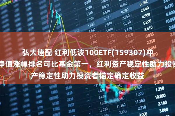 弘大速配 红利低波100ETF(159307)冲击5连涨，近1年净值涨幅排名可比基金第一，红利资产稳定性助力投资者锚定确定收益
